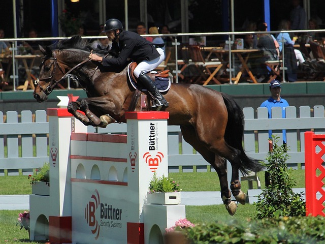 能够分担詹 能够分担詹