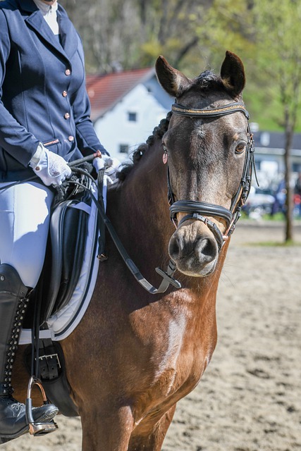 教练的战术 教练的战术