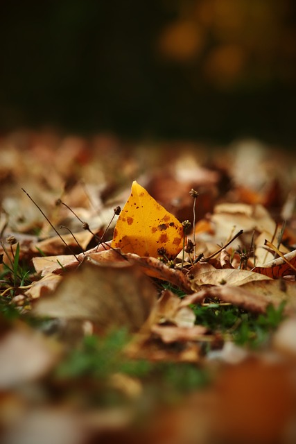 关键对决不 关键对决不