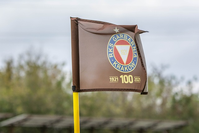 英媒盤點足壇歷史9對相互厭惡隊友：阿賈克斯時期伊布和範德法特、萊曼和卡恩在列.