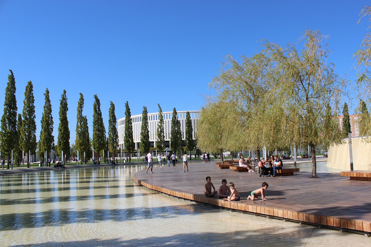 取得了显著 取得了显著