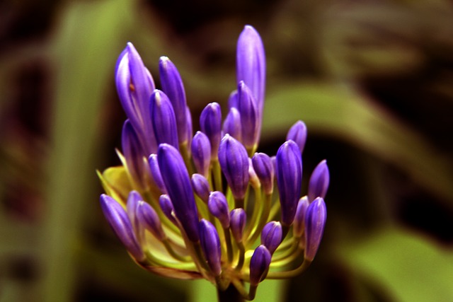 这对勇士队 这对勇士队